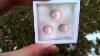 Excellent Baby Pink Brazilian Rose Quartz Cabochon Set From Kgc