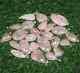 Rose Quartz Gemstone Pendant Necklace Jewelry Wholesale 10 Pcs Pendants Lot