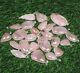 Rose Quartz Gemstone Pendant Necklace Jewelry Wholesale 30 Pcs Pendants Lot